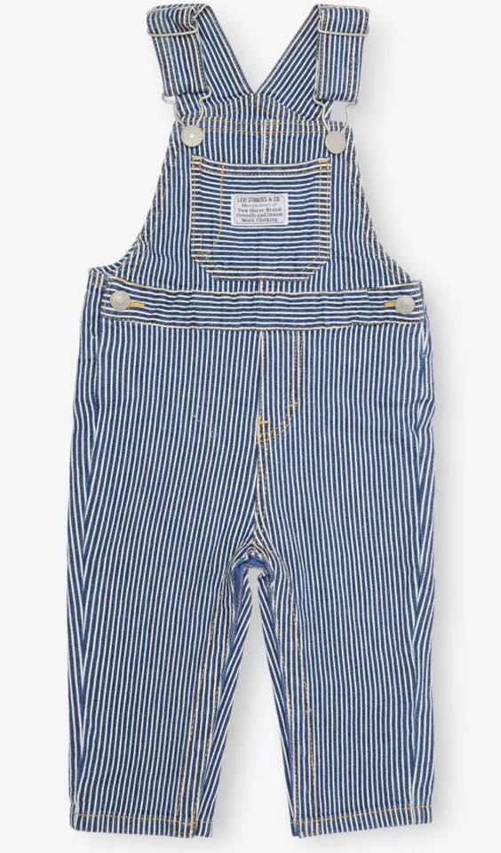 Levi's Blue Stripe Dungarees In Stock Now