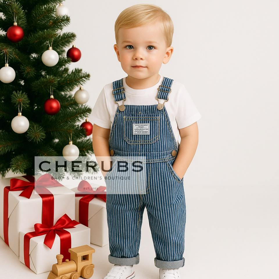 Levi's Blue Stripe Dungarees In Stock Now
