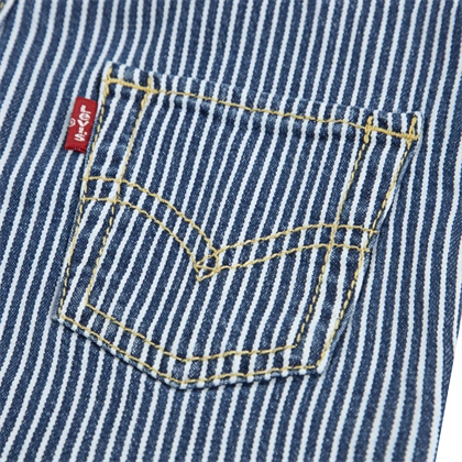 Levi's Blue Stripe Dungarees In Stock Now